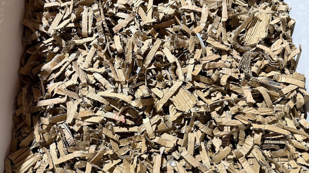 Cardboard Shredded